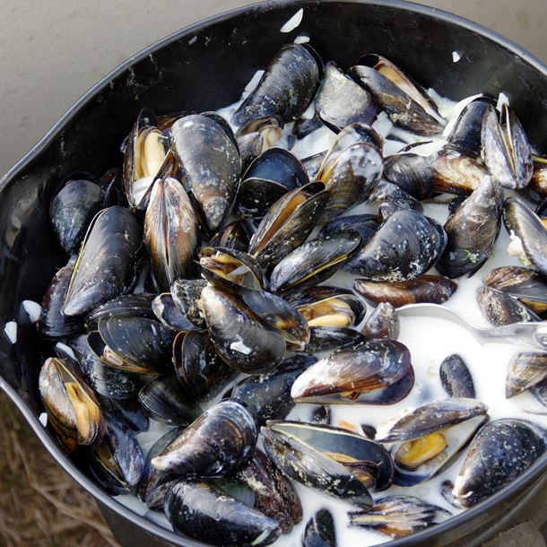 Moules A La Creme dedans Pêche À La Moule