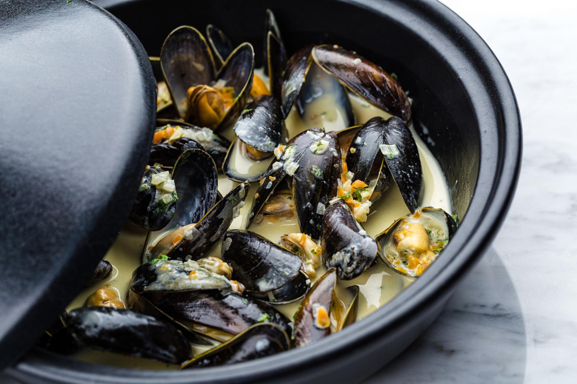 Moules A La Creme pour Pêche À La Moule