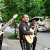 Musiciens Mexicains Dans Le Mariachi Traditionnel De avec Musicien Mexicain