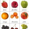 Nom Des Fruits concernant Les Noms Des Arbres Et Leurs Fruits