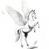 Pegasus Imagery Collections | Pegasus Tattoo, Pegasus dedans Dessin De Pégase