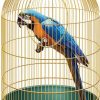 Perroquet Dans Une Cage Rétro. Aras En Cage À Oiseaux dedans Dessin De Cage D Oiseau