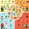 Pin By Lallie On Français | Learn French, French Teaching serapportantà Fruits Et Legumes Vocabulaire