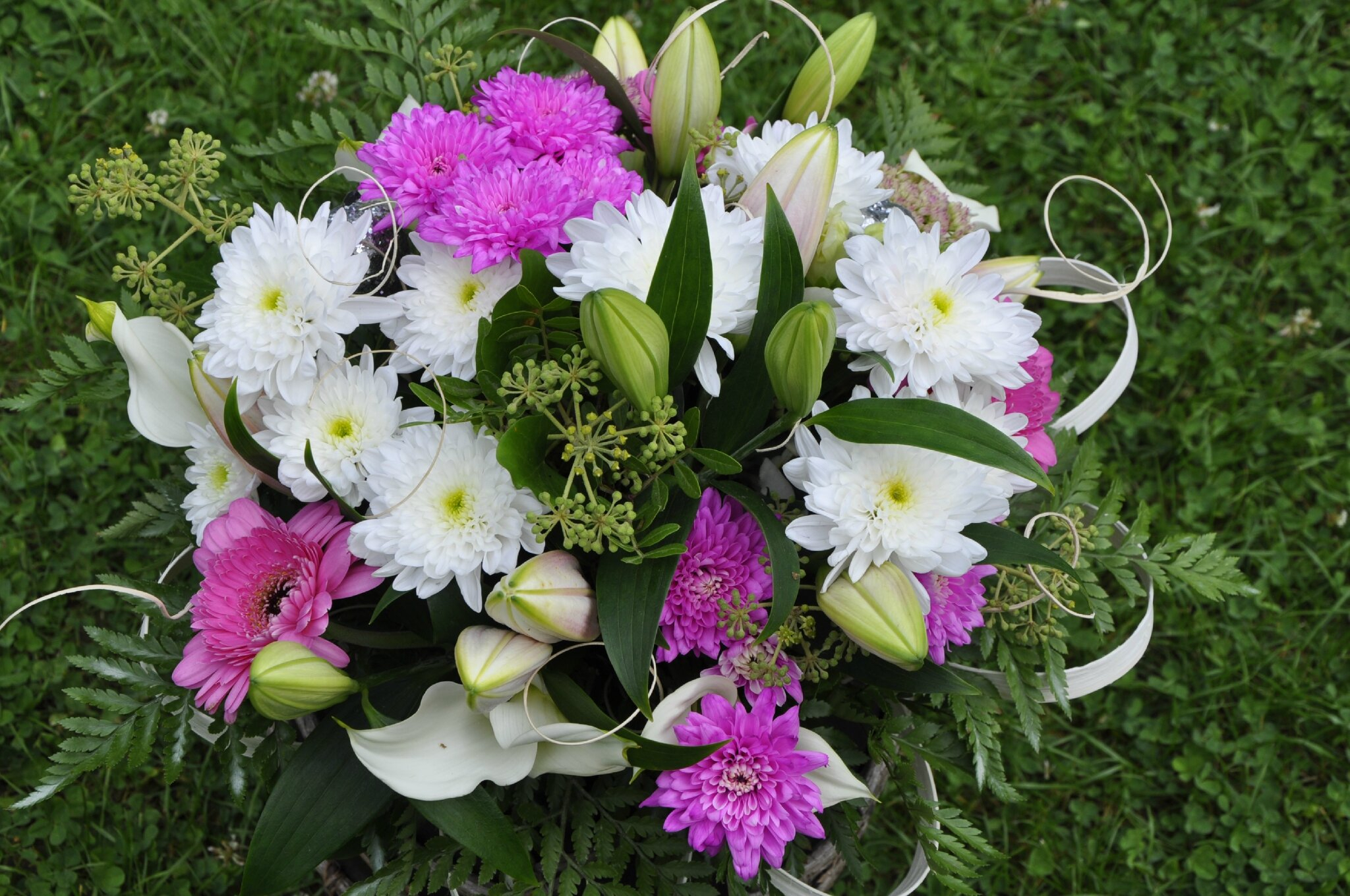Plaisir D'Offrir Ce Bouquet D'Anniversaire Pour - L'Arum avec Bouquet De Fleurs Anniversaire Gratuit
