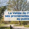 Plan De Déconfinement : La Vallée De L'Orge Et Ses à Centre Commercial La Croix Blanche Sainte Genevieve Des Bois