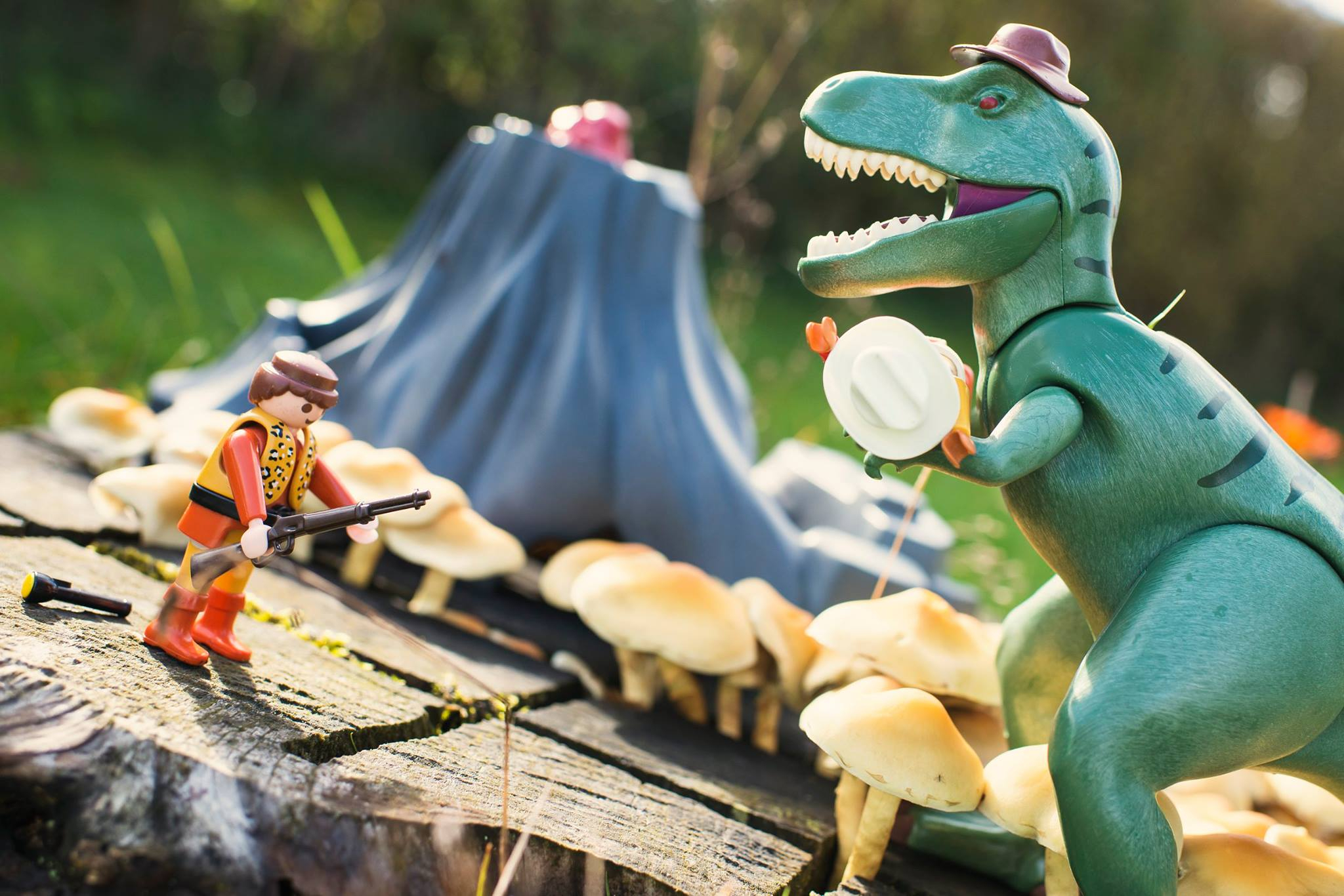 Playmobil Stories #3 : Sur La Piste Des Champignons Géants destiné Le Petit Dinosaure Becky Oui Oui Oui