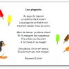 Poésie Les Pingouins De Raymond Lichet - Poésie Les à Comptine Pingouin
