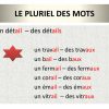 Ppt - Le Pluriel Des Mots Powerpoint Presentation, Free intérieur Pluriel Chacal