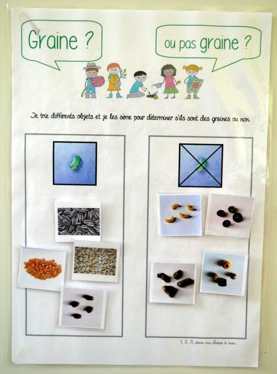 Projet &amp;quot;Tous Au Jardin !&amp;quot; - 1, 2, 3, Dans Ma Classe À Moi tout Plantation Haricot Maternelle