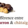 Quelle Différence Entre Châtaigne Et Marron concernant Difference Entre Agneau Et Mouton