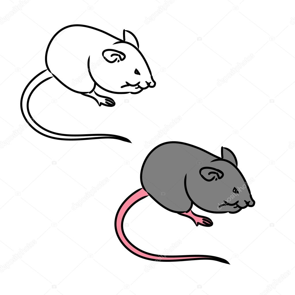Мышка с мышенкомконтур