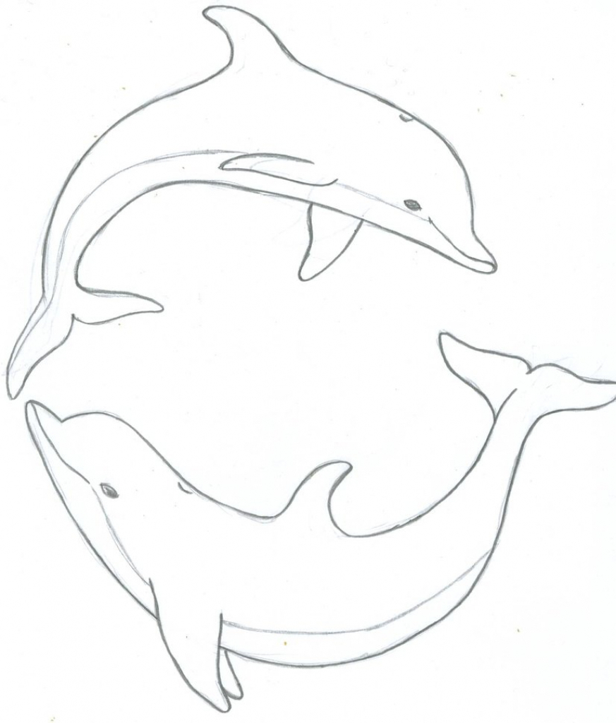 Realistic Dolphin Drawing At Getdrawings | Free Download à Dessin Dauphin Simple