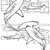 Requins Marteaux - Coloriage De Requins - Coloriages Pour avec Dessin De Requin Tribal