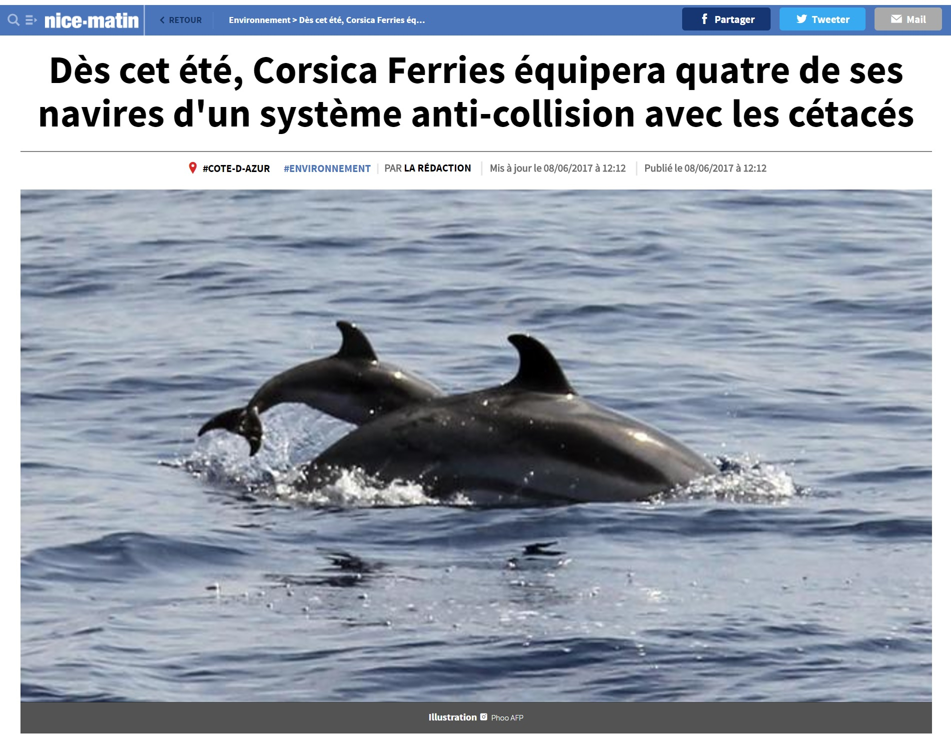 Réseau-Cétacés - Dès Cet Été, Corsica Ferries Équipera pour Un De Ses Quatre