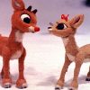 Rudolph, Le Petit Renne Au Nez Rouge (1964) • Fr.film-Cine destiné Rudolph Le Renne Au Nez Rouge