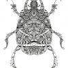 Scarabée - Artwok By Bleeken #Doodle #Insect | Coloriage à Dessin Scarabée