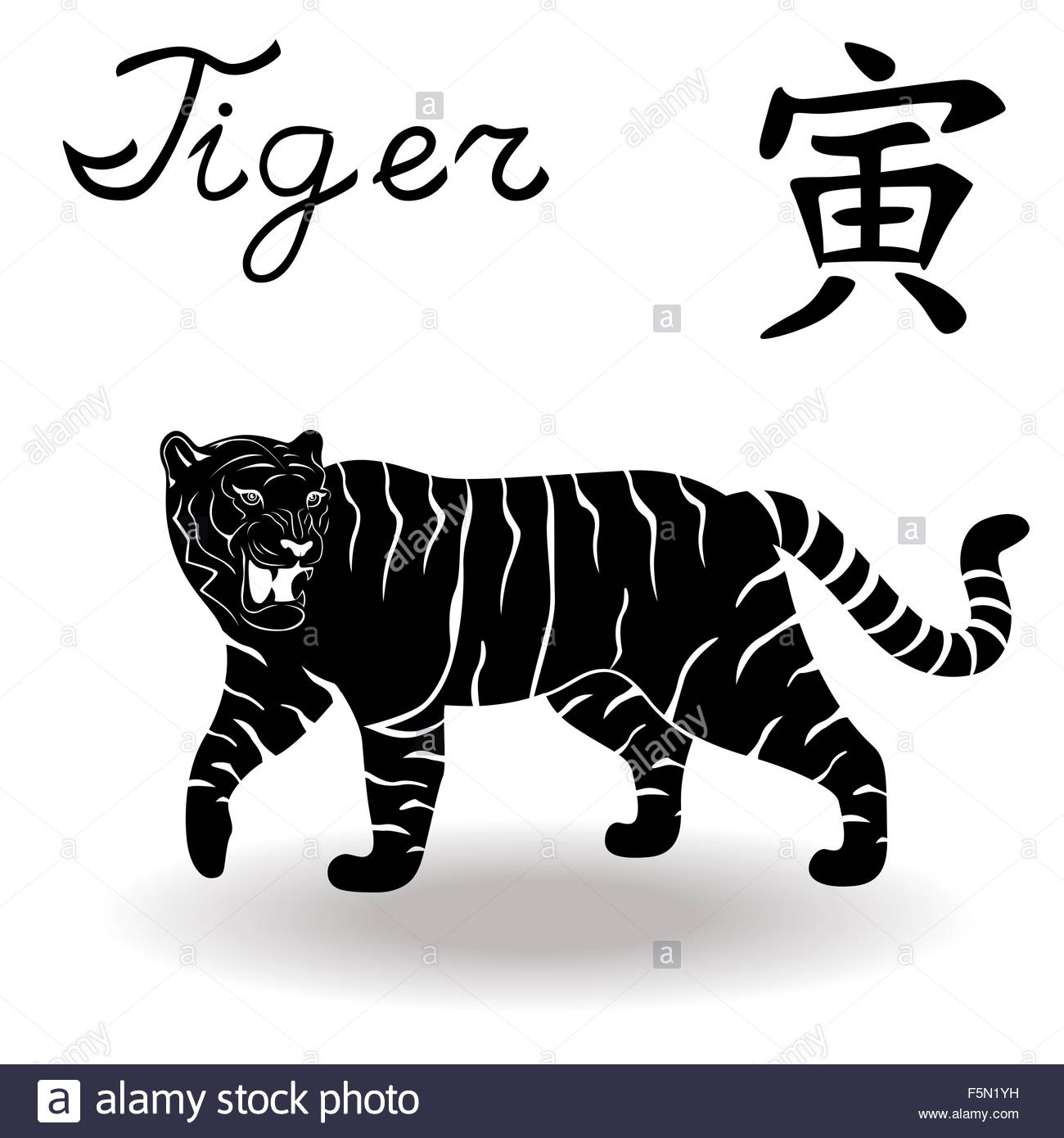 Signe Zodiacal Chinois Tigre, Élément Fixe Le Bois intérieur Tigre En Chinois