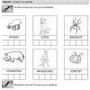 Syllabes - Phonologie - Maternelle - Grande Section - Gs avec Fiche Maternelle Grande Section