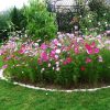 Tendance Rose Au Jardin - Sous Ma Gloriette pour Jardin Des Couleurs