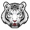 Tête De Tigre Blanc Sur Fond Blanc | Télécharger Des tout Image Tete De Tigre