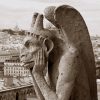 Vous Aimez Paris?: Paris Et Ses Gargouilles pour Gargouille Notre Dame De Paris Disney