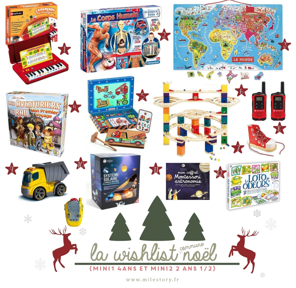 Wishlist Noël 2017 - Idées Cadeaux Enfants De 4 Ans Et 2 encequiconcerne Idée Cadeau Anniversaire Garçon 9 Ans