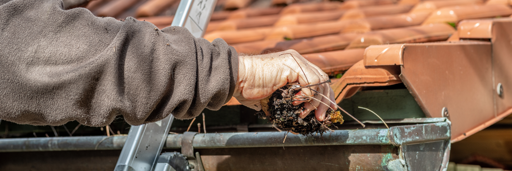 Capital-Service-Group_Gutter-Cleaning - Capital Service encequiconcerne Gutter Cleaning Charleston Sc