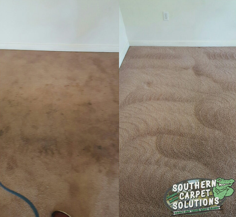 Drying-Carpet-Southerncarpetsolutions - Southern Carpet intérieur Carpet Cleaning Service Mandeville