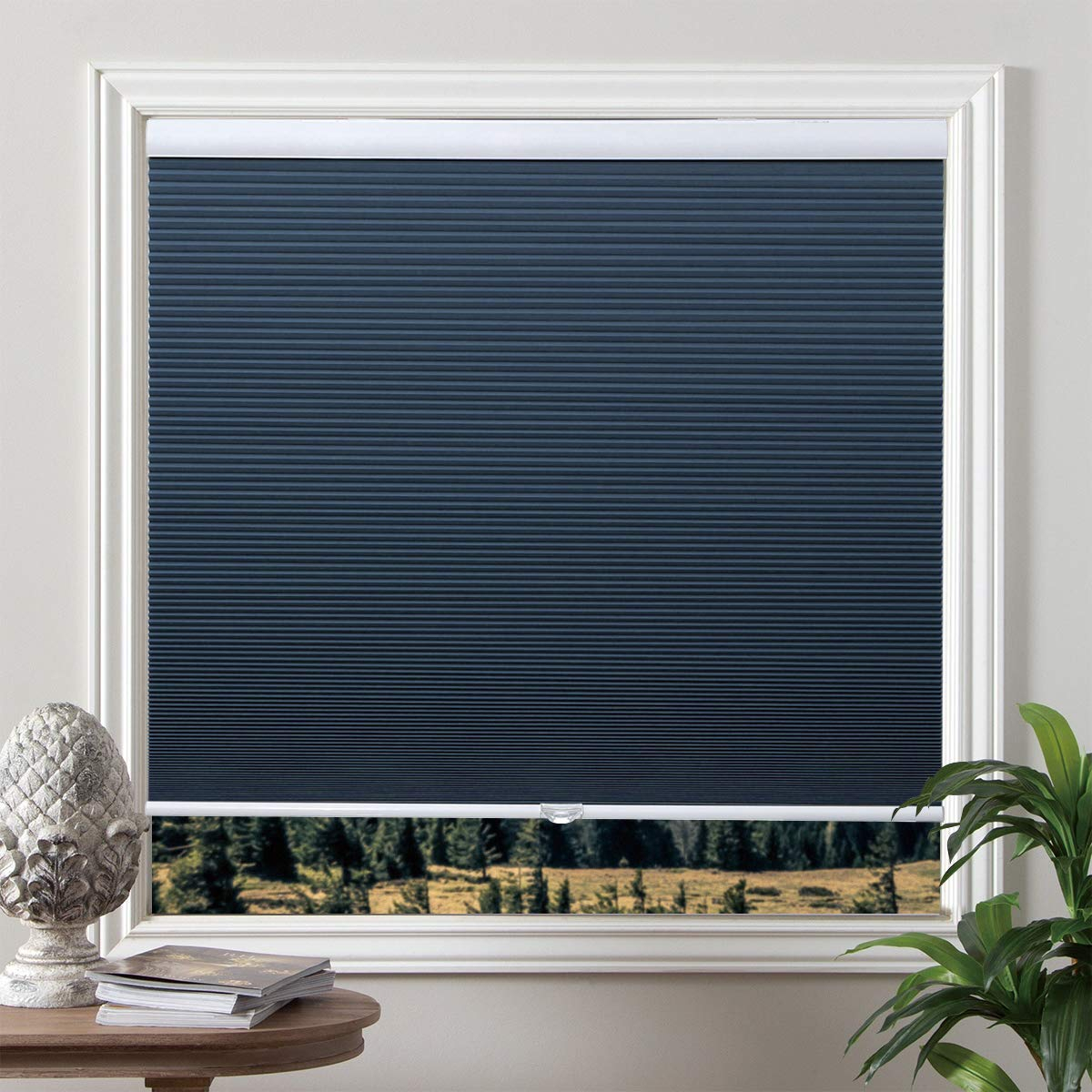 Grandekor Cellular Shades Blackout Cordless Cellular encequiconcerne Cordless Blinds