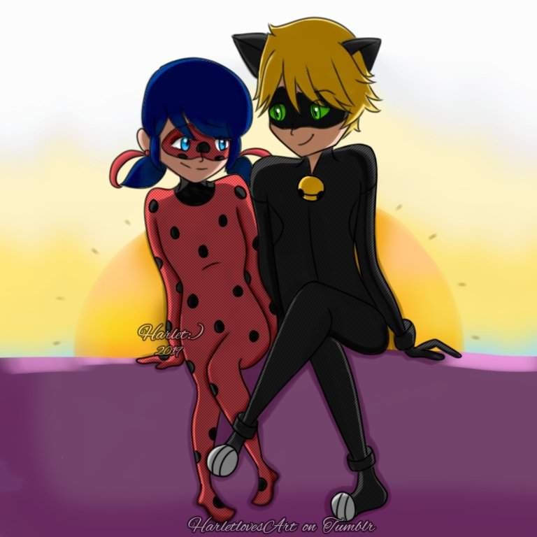 Ladynoir💕 | Miraculous Amino pour Ladynoir