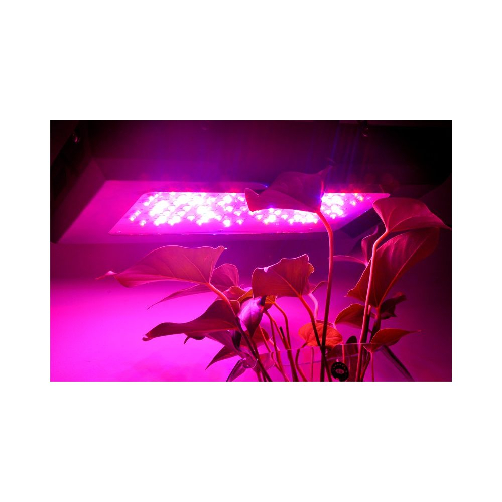 Lampe Led Horticole De 240 Watts À Prix Discount avec Lampe Horticole Led