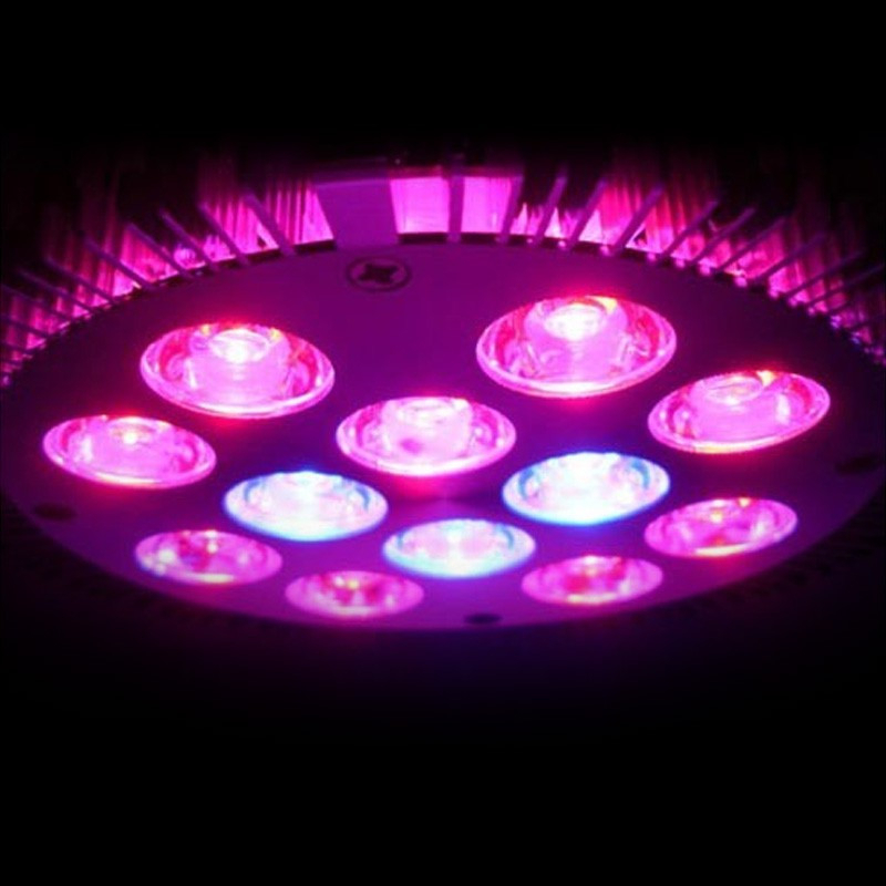 Led Horticole Cultilite Spot Led 15W - Booster Agro pour Led Horticole