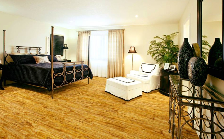 Our Floors - Traditional - Bedroom - San Diego - By Blue dedans Carpet Cleaning Hendersonville Nc