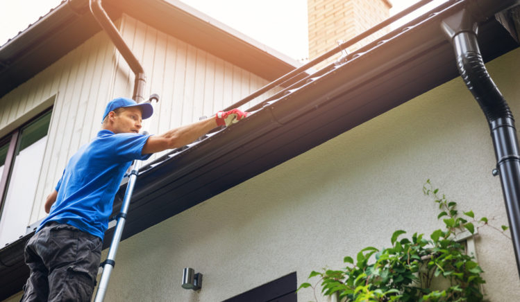 Professional Gutter Cleaning: Is Your Home Summer Ready avec Gutter Cleaning Charleston Sc