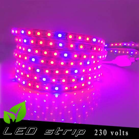 Strip Led Horticole 230 Volts - Led Rouge Et Bleue Ratio 5 / 1 destiné Led Horticole