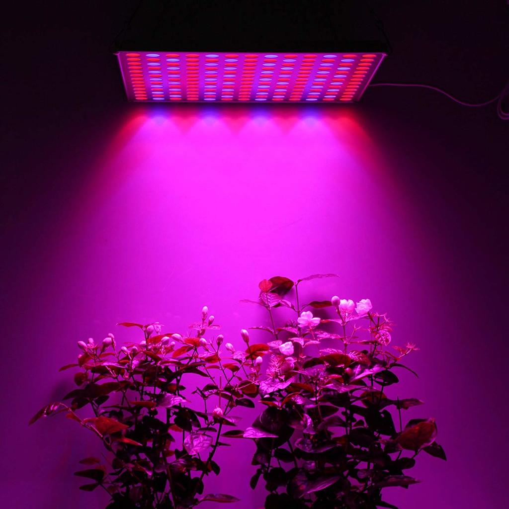 Test / Avis Roleadro 75W Led Horticole : Excellente Lampe avec Led Horticole