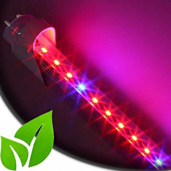 Tube Led Horticole Smd 3528 Longueur 1500Mm dedans Led Horticole