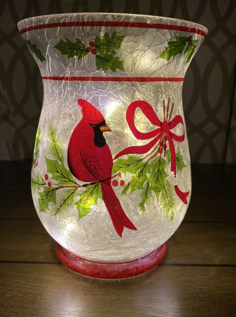 Valerie Parr Hill Holiday Frosted Glass Cardinal Vase With tout Valerie Parr Hill Qvc