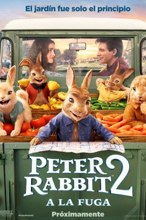 Ver Peter Rabbit 2: Conejo En Fuga (2021) Pelicula concernant Peter Rabbit 2 The Runaway Hd-Ts