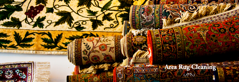 Area Rug Cleaning | Ann Arbor Mi | Area Rug Cleaning avec Ann Arbor Carpet Cleaner