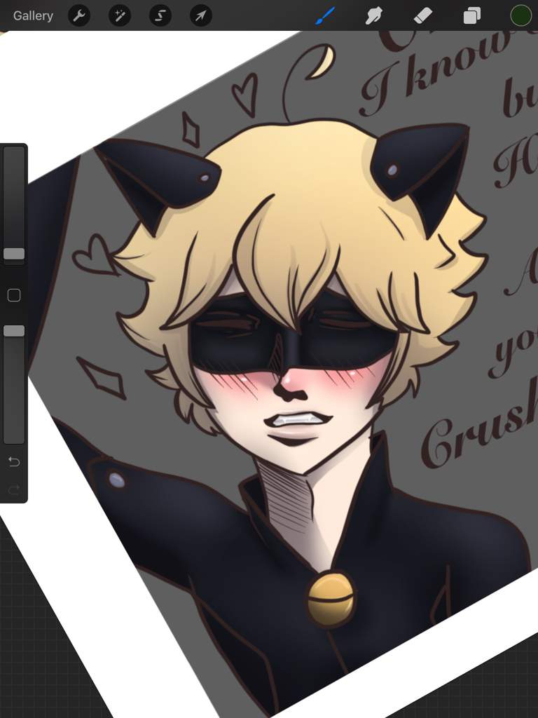 Assumptions | 🐱Marichat💖 Amino encequiconcerne Marichat