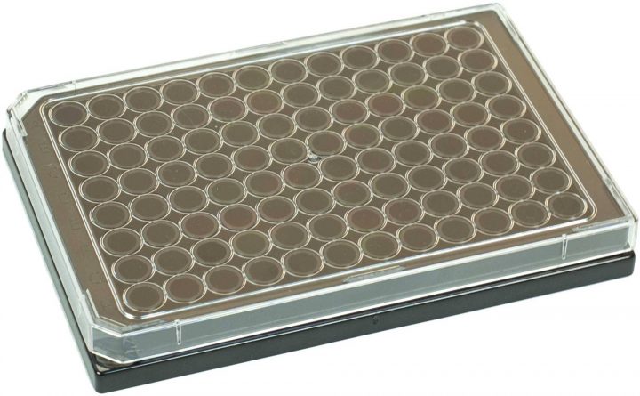 Brandtech Brandplates Cellgrade Plus Sterile 96-Well Plate encequiconcerne 96 Well Plate Surface Area Mm2