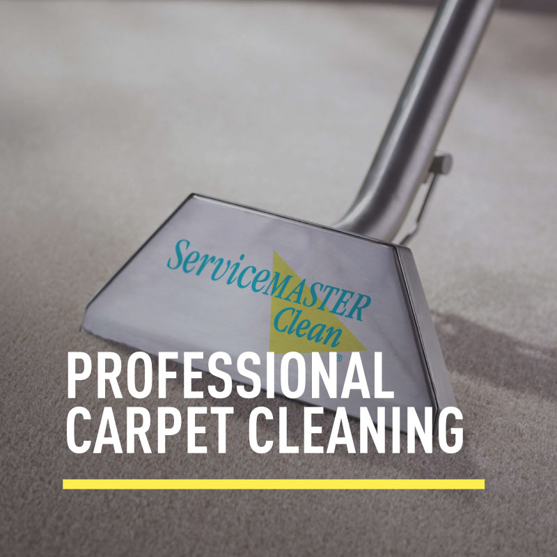 Carpet Cleaning | Servicemaster Of Whatcom County avec Pitt County Carpet Cleaner