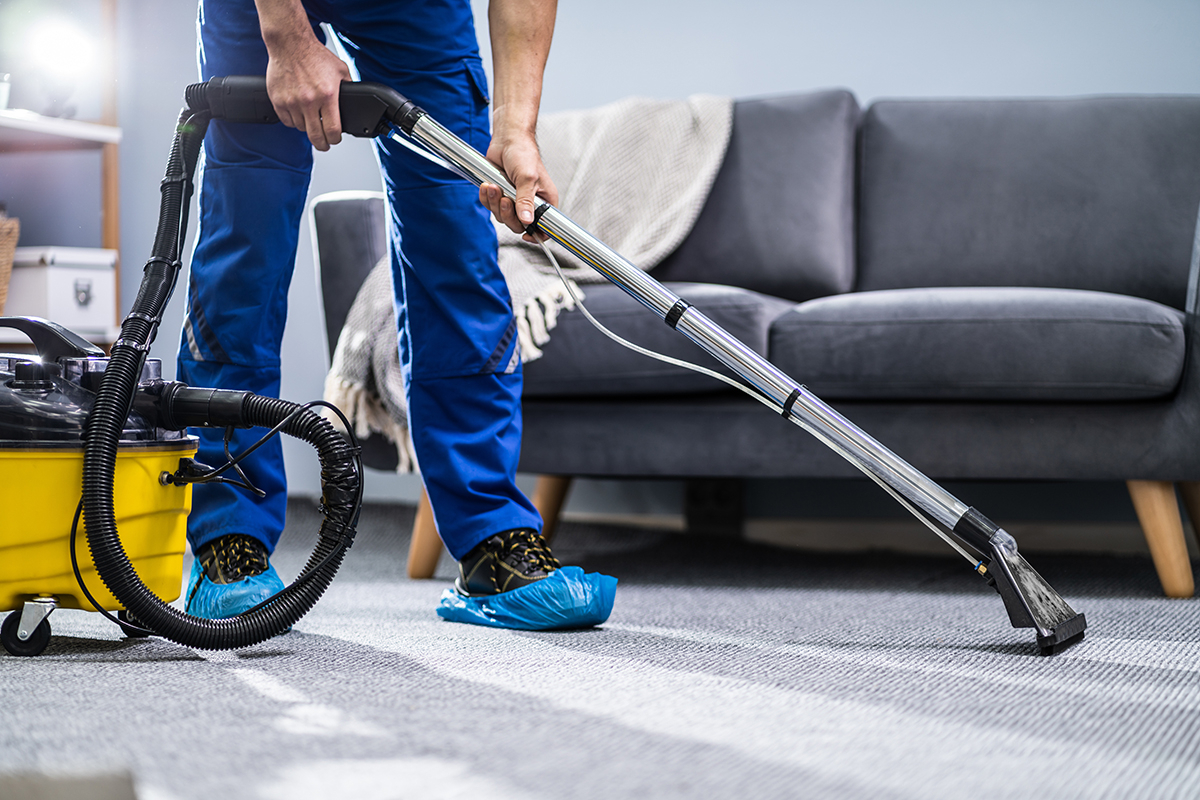 Carpet Cleaning Services In Keystone &amp;amp; Summit County Co pour Pitt County Carpet Cleaner