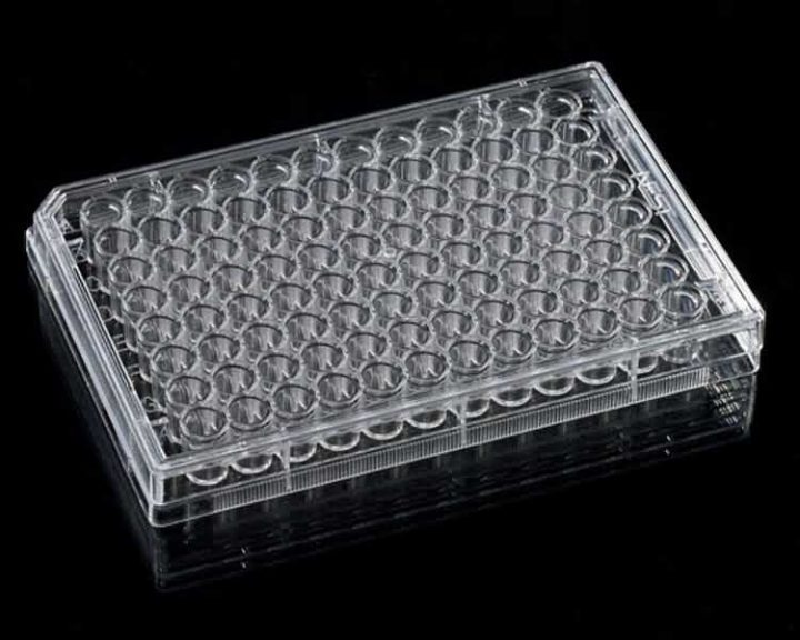 China Lab Disposable Plastic Sterile Hot Tissue Culture dedans 96 Well Plate Surface Area Mm2