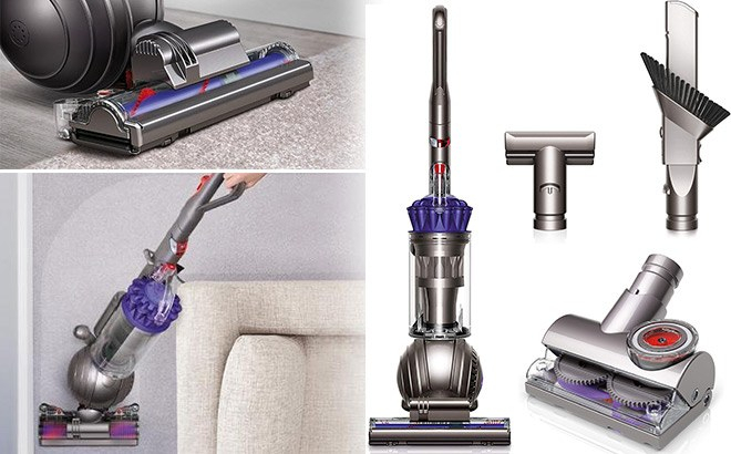 Dyson Ball Animal Vacuum Renewed For Only $184.99 (Reg pour Dyson Ball Animal Exclusiv