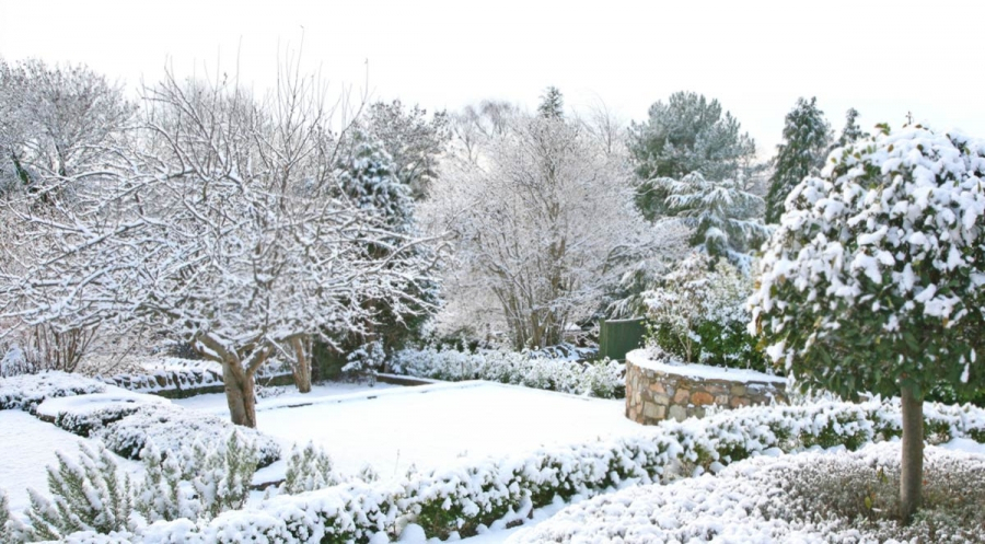 Four Winter Landscaping Ideas - Garrett&amp;#039;S Landscape à Patio Pavers Hendersonville Nc