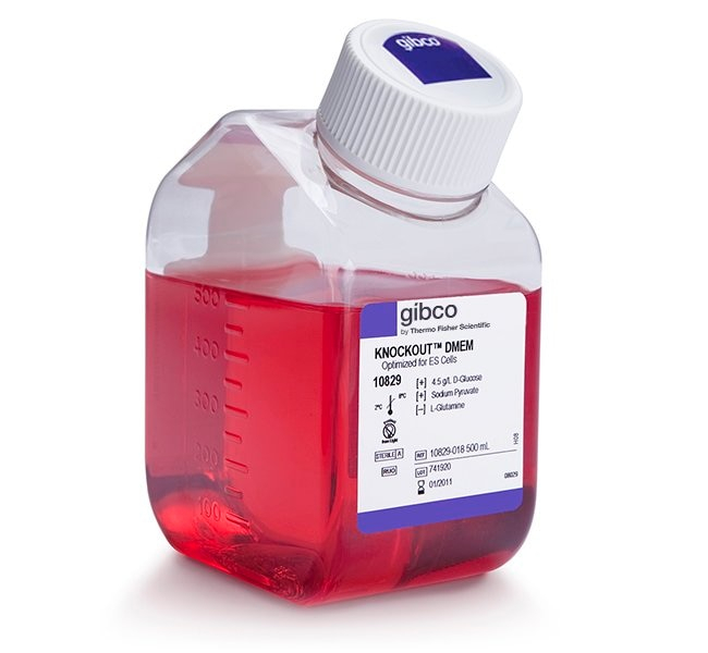 Gibco™ Knockout™ Dmem 500 Ml Additional Cell Culture Media à Ham&amp;amp;#039;S F12 Cell Culture Media