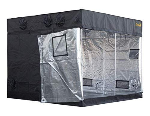 Gorilla Grow Tent Ggtlt88 Lite Line, 8′ X 8′ Grow Tent encequiconcerne Gorilla Grow Tent Canada