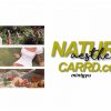 Kpop Nature Aesthetic Carrd.co Tutorial/Walkthru destiné Carrd Tutorial